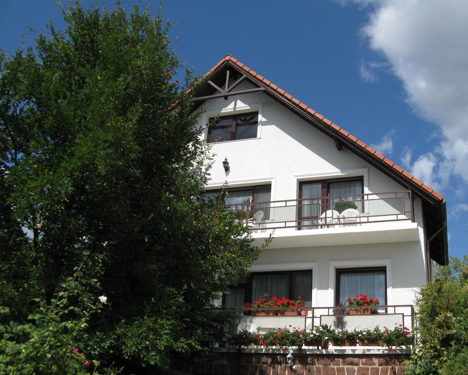 Barcza Vendeghaz Hotel Balatonfüred Exterior foto
